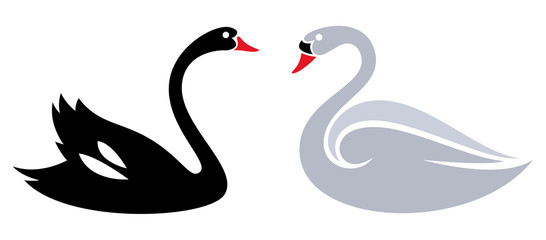 Royal Swans © Egret77