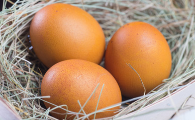Macro shoot of brown eggs