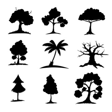 silhouettes of imaginary trees