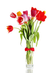 Beautiful tulips in bouquet isolated on white