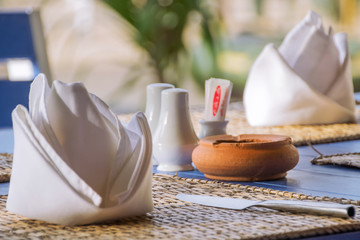 Napkin and cutlery