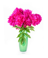 Obraz premium Flowers peony