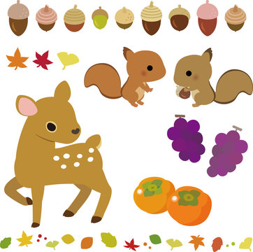 17 672 件の最適な 秋の実り 画像 ストック写真 ベクター Adobe Stock