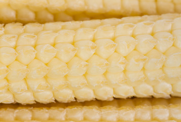 Baby Corn Macro