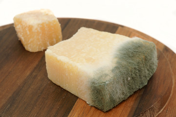 Verschimmelter Käse