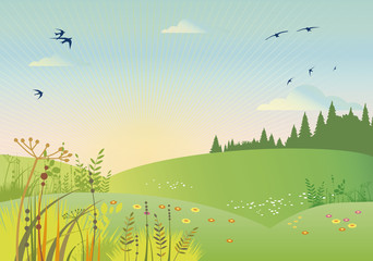 rural summer