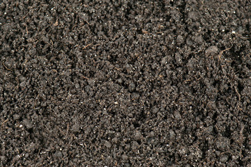 soil texture