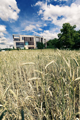 Post-Modern Architecture Behind Wheat Field
