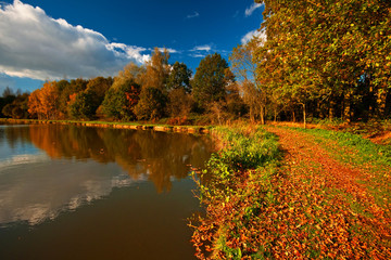 Nice autumnal scene with lake