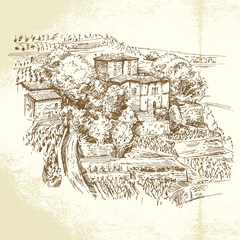 vineyard France - hand drawn illustration
