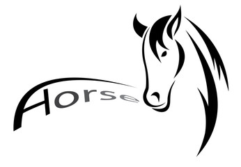 Vector image of an horse , illustration - vector
