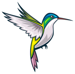 Obraz na płótnie Canvas Hummingbird --- Andean Emerald