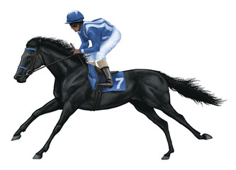racehorse