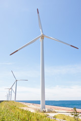Fototapeta premium Wind farm
