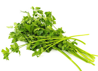 Bunch of parsley isolated on white
