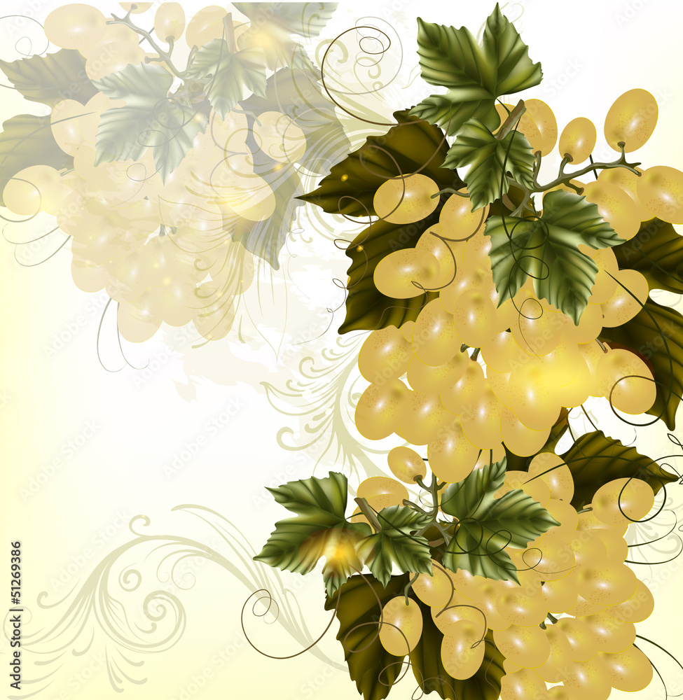 Poster grunge design with realistic crustier of wine grapes and orname