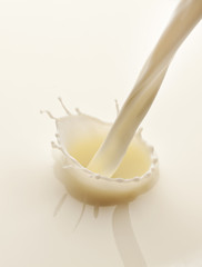 Milk splash