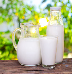 Milk in various dishes.