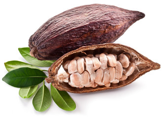 Cocoa pod