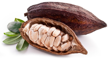 Cocoa pod