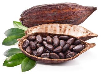 Cocoa pod