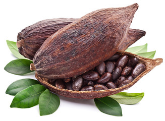 Cocoa pod