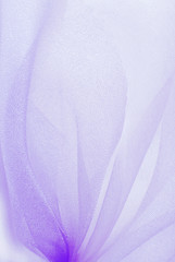 violet organza fabric texture