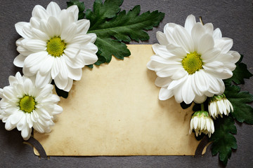 Obraz premium Backdrop of old photo with chamomiles