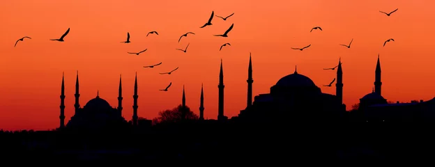 Outdoor-Kissen Skyline von Istanbul © Ana Tramont