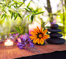 massage stones with bamboo background with daisies and wisteria