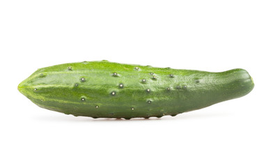 cucumber single