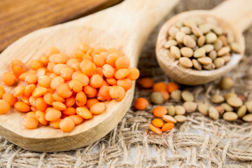 Wooden spoons with different kinds of lentil