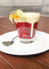 Rote Grütze mit Vanillesauce, typisch norddeutsches Dessert