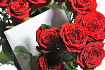  bunch of red roses