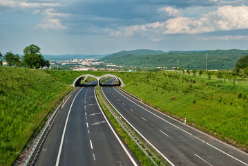 Empty asphalt highway with eco-duct