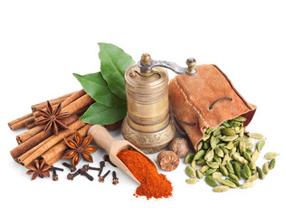 Different spices isolated on white
