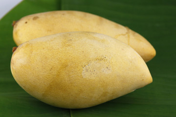 The yellow is Ripe mango.