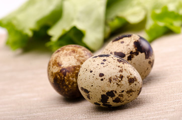 Obraz premium Quail egg and fresh salad
