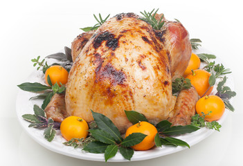 Roasted turkey on white