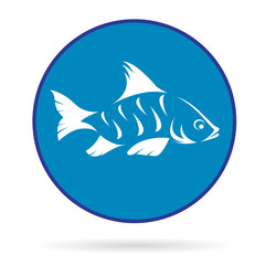 Vector image of an fish  , illustration - vector