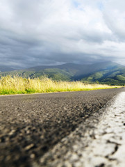 Middle of the road
