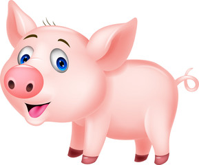 Cute pig cartoon