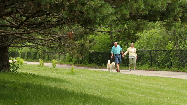 Senior couple walking dog at the park
