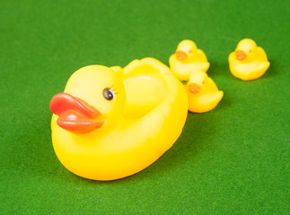 Plastic yellow duck toy