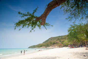relaxing on a tropical beach