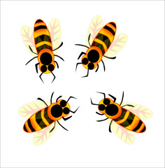 Bees