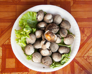 Cockles grill,Thai style seafood