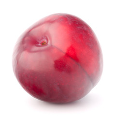 Ripe plum  fruit