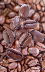 Roasted coffee beans