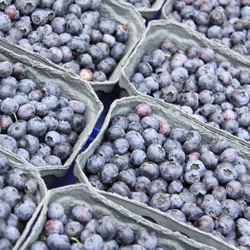 blaubeer verkauf